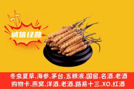 周口扶沟县回收冬虫夏草
